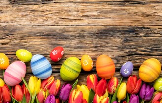 EGGS & TULIPS1 210.JPG